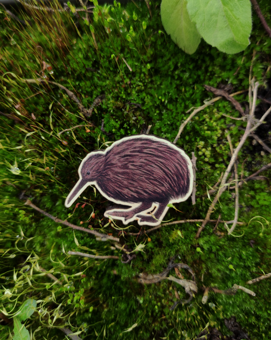 Wooden pin of a Kiwi on moss background.