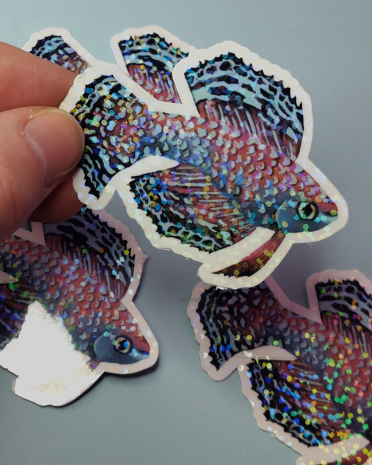 Man, I Love Fish: Bluefin Notho - Sticker