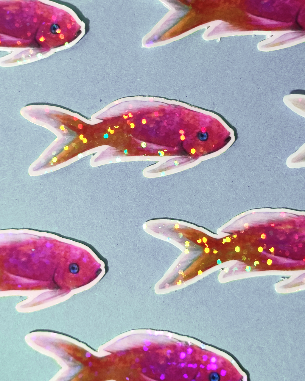 Man, I Love Fish: Anthias - Sticker