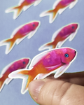 Man, I Love Fish: Anthias - Sticker