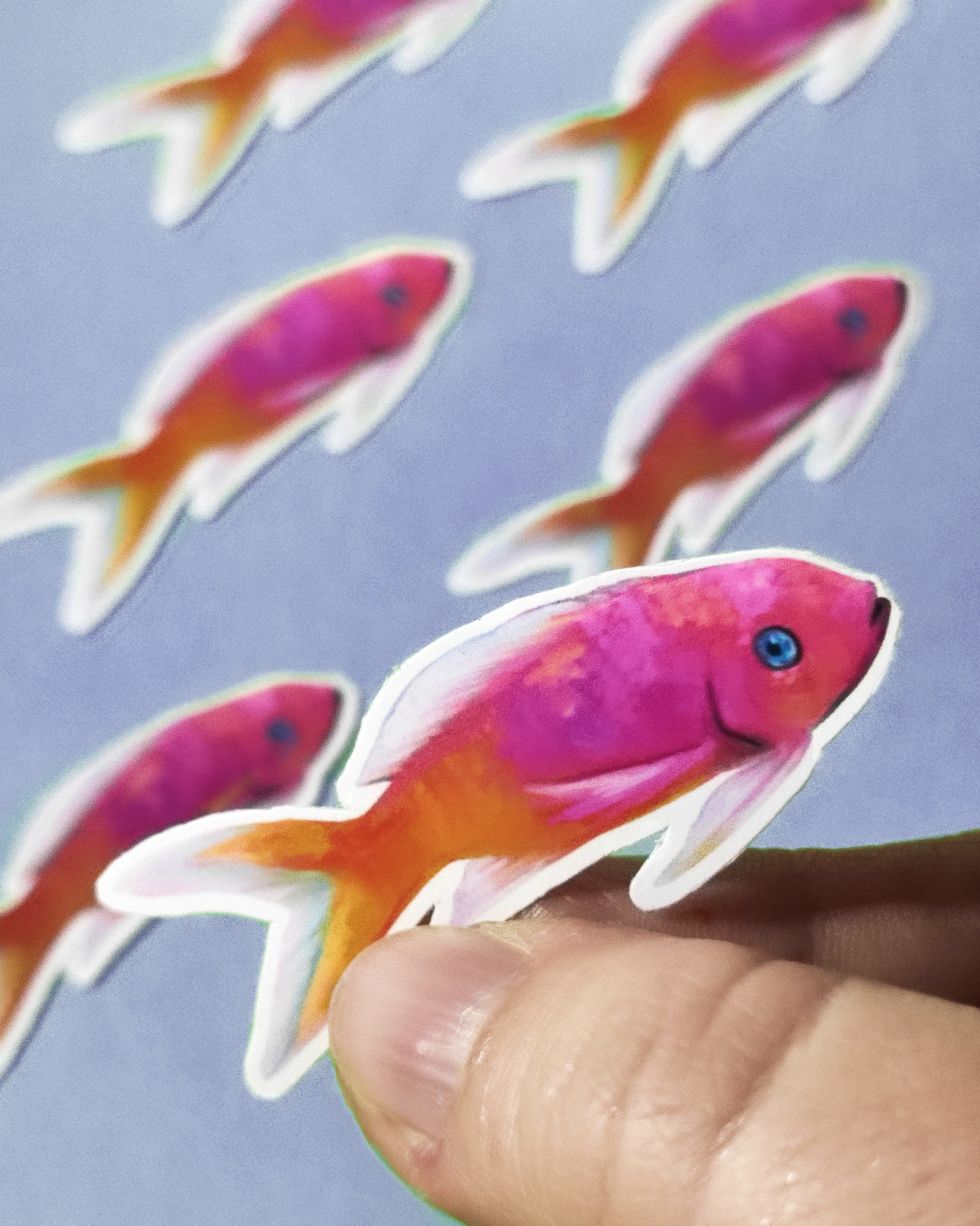Man, I Love Fish: Anthias - Sticker