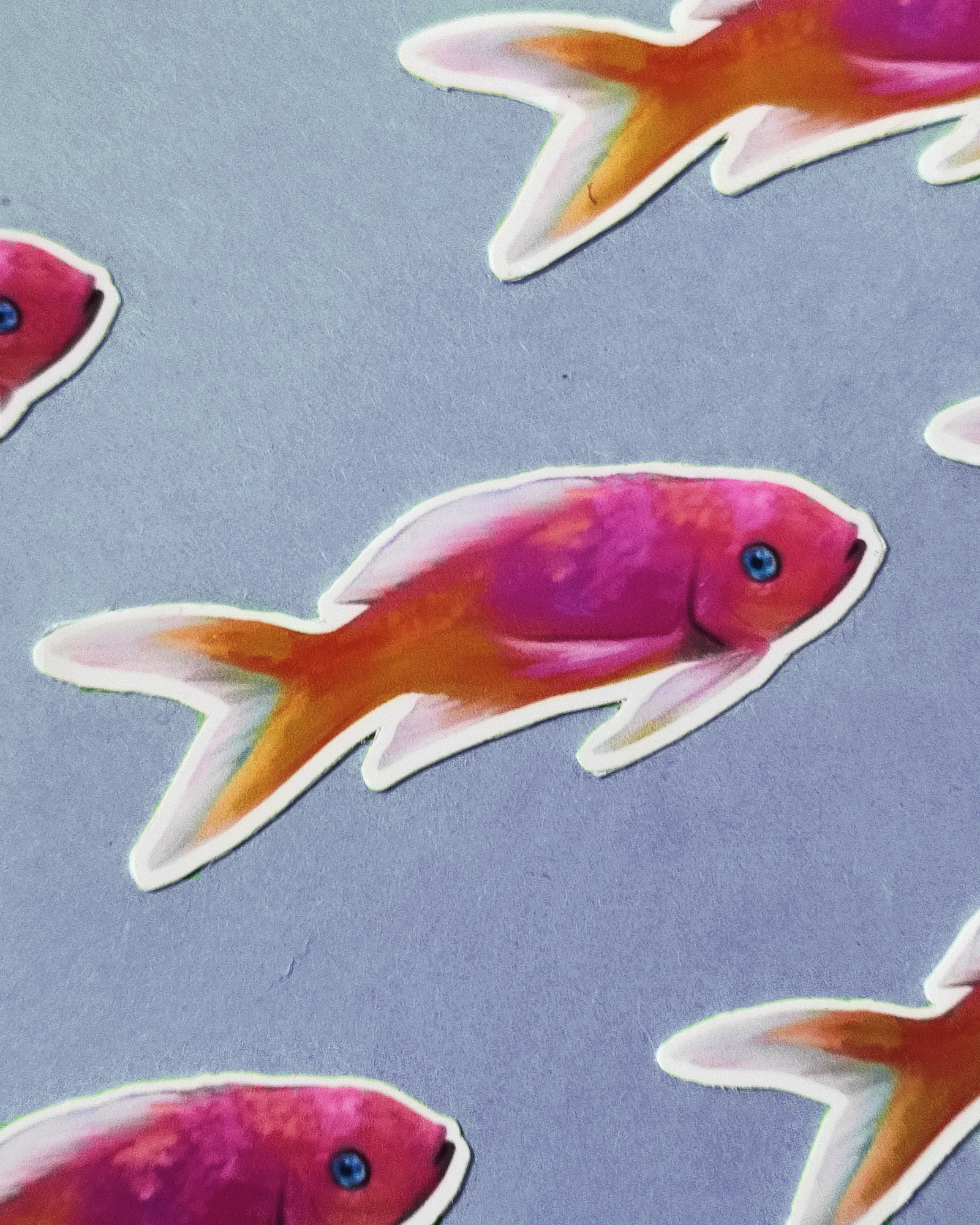 Man, I Love Fish: Anthias - Sticker