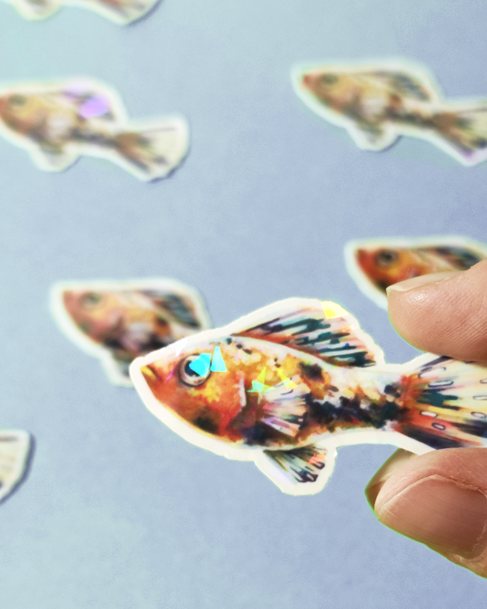 Man, I Love Fish: Molly - Sticker