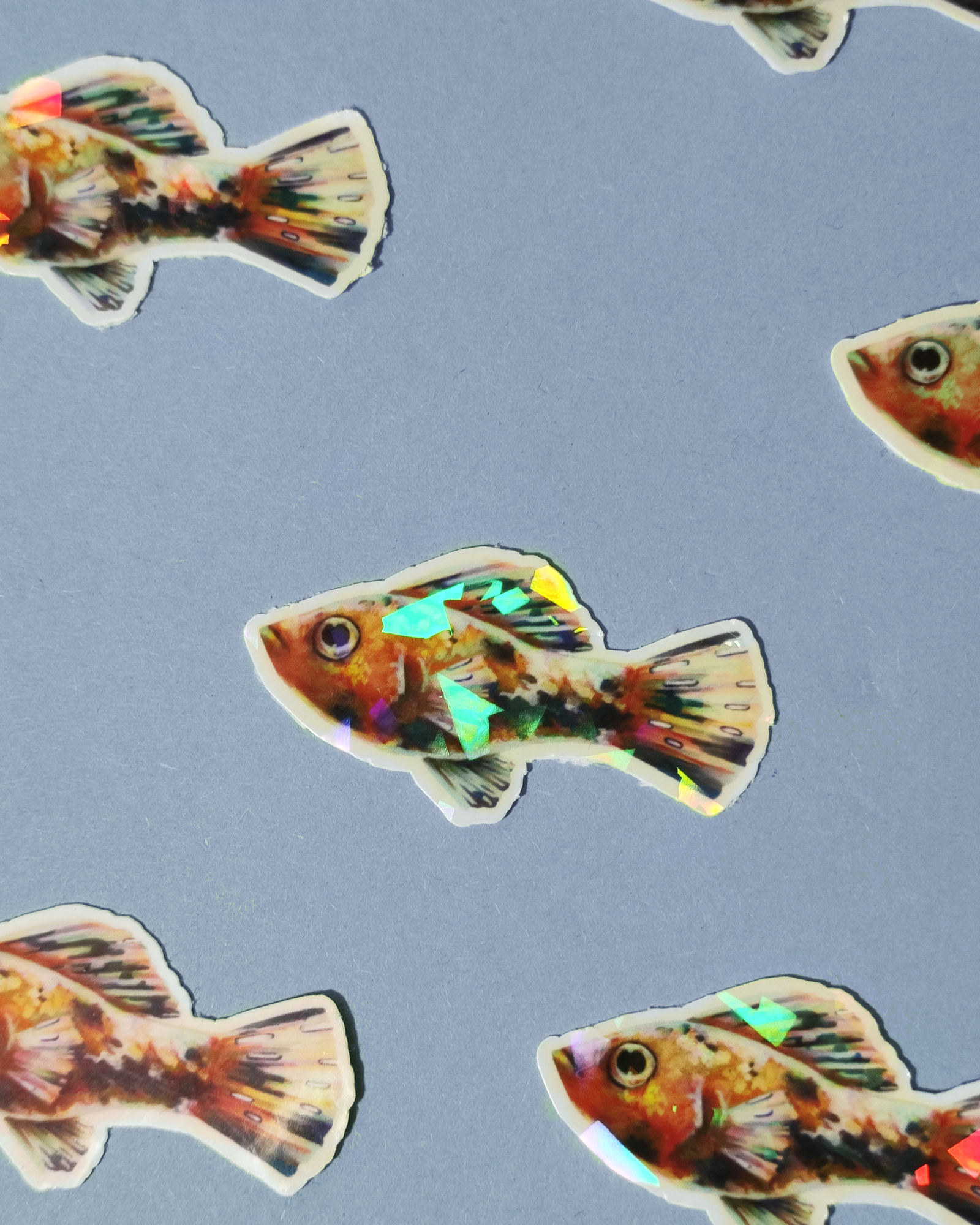 Man, I Love Fish: Molly - Sticker