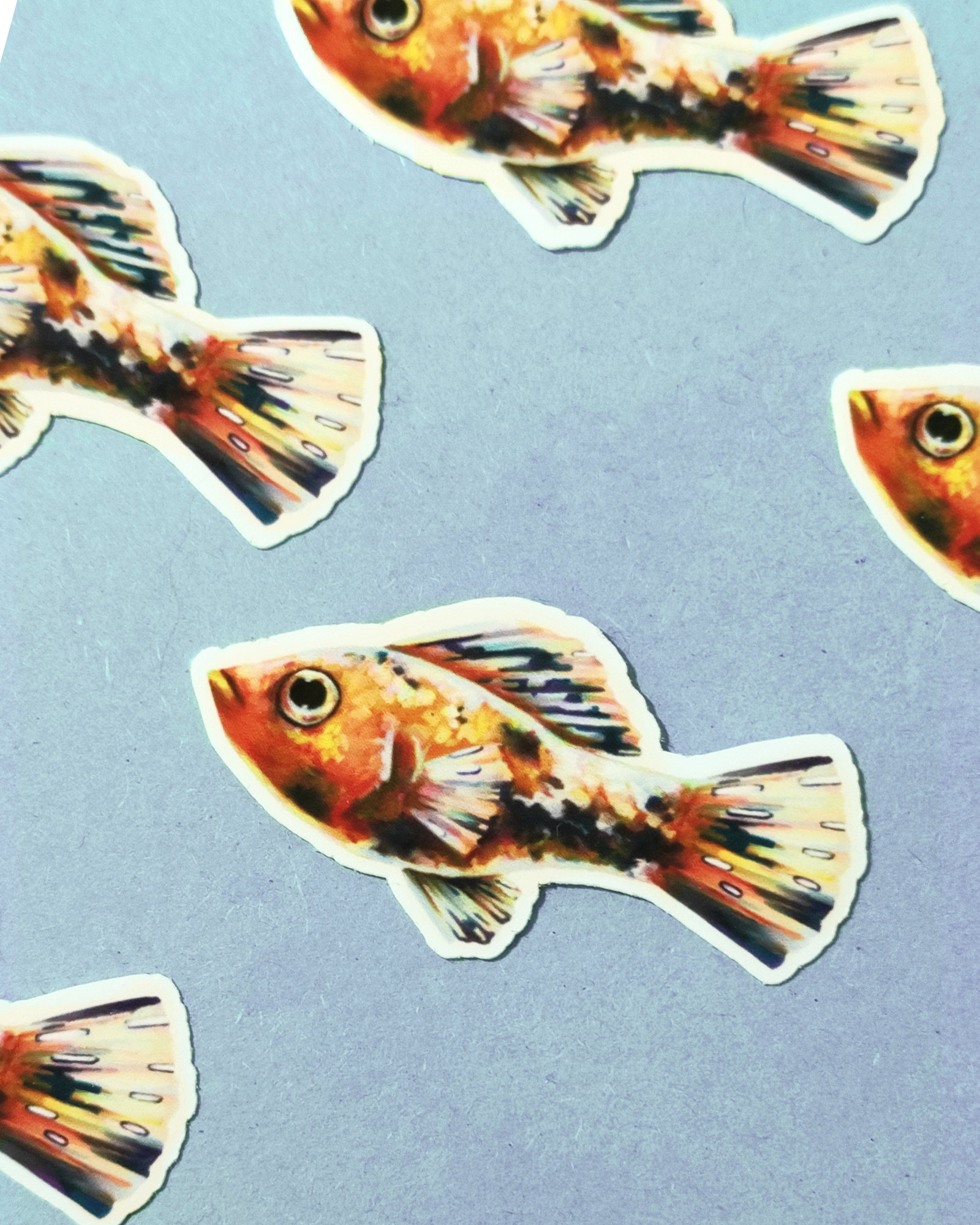 Man, I Love Fish: Molly - Sticker