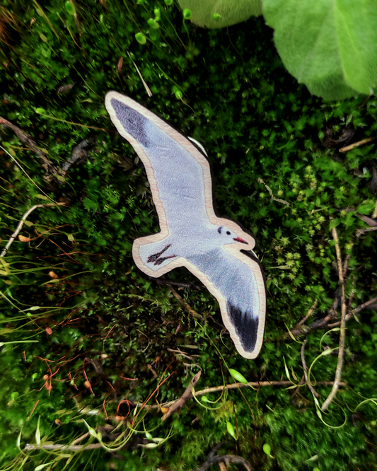 Wooden pin of a black-headed gull on moss background.