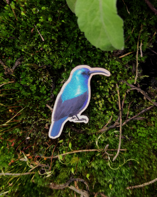 Wooden pin of a Palestine Sunbird on mossy background.