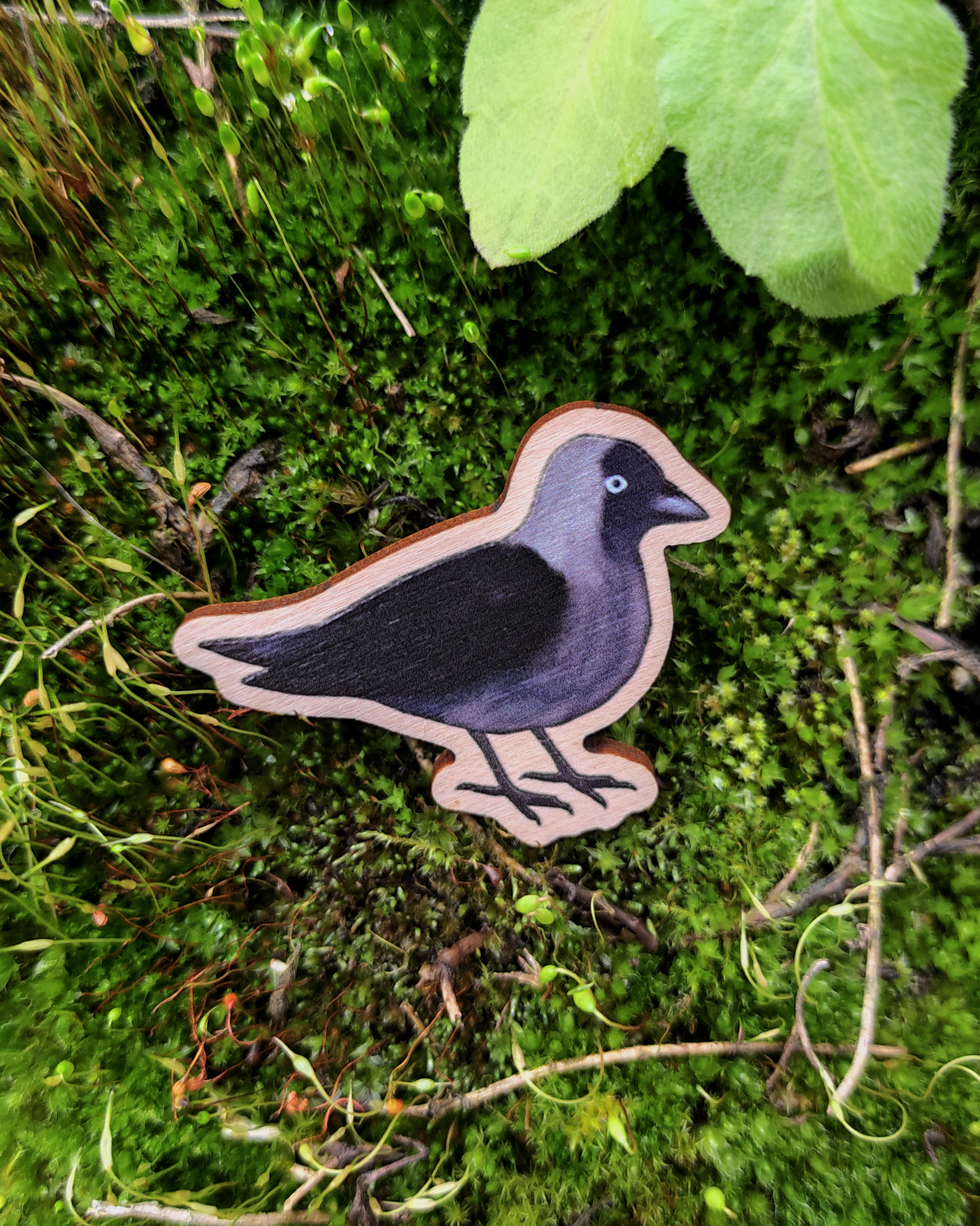Wooden pin of a Jackdaw on mossy background.