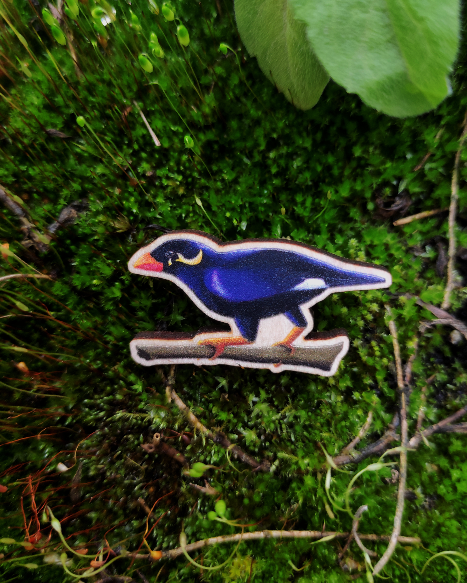 Wooden pin of a Common Hill Myna on mossy background.