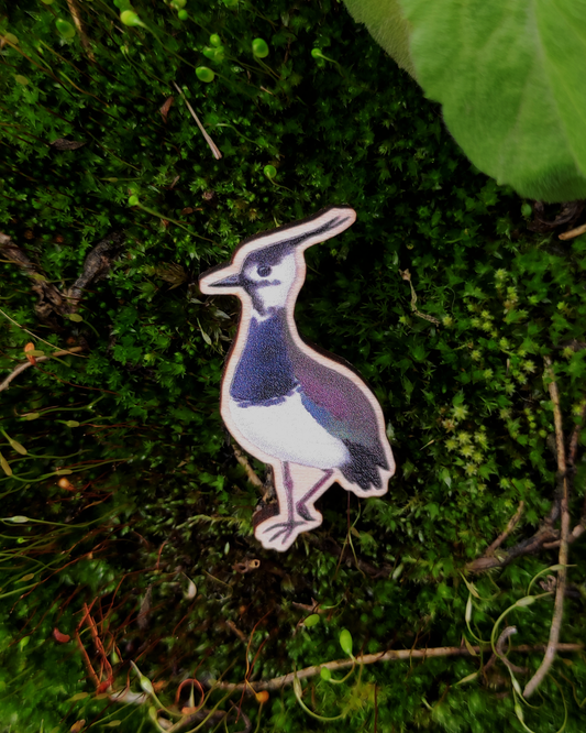 Wooden pin of a Northern Lapwing on mossy background.
