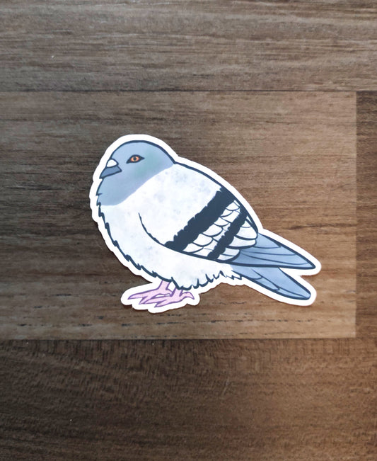Sticker of a street pigeon on a wooden surface, pigeon, feral pigeon, Straßentaube, Felsentaube, Taube