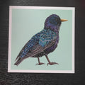Original art: Starling - Print