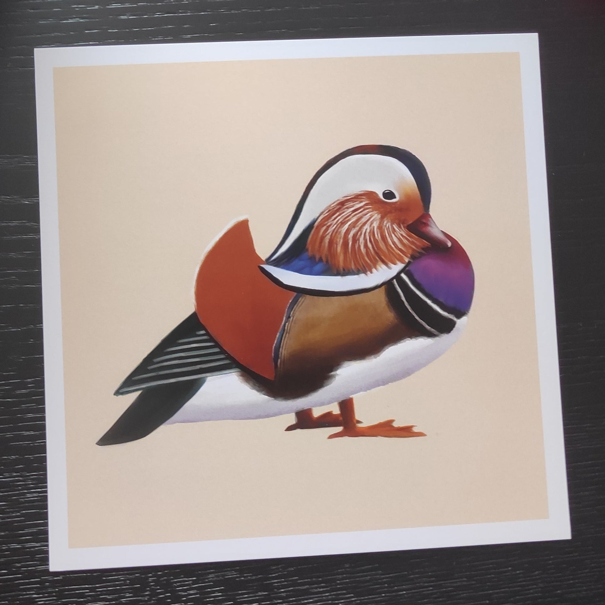 Original art: Mandarin Duck - Print