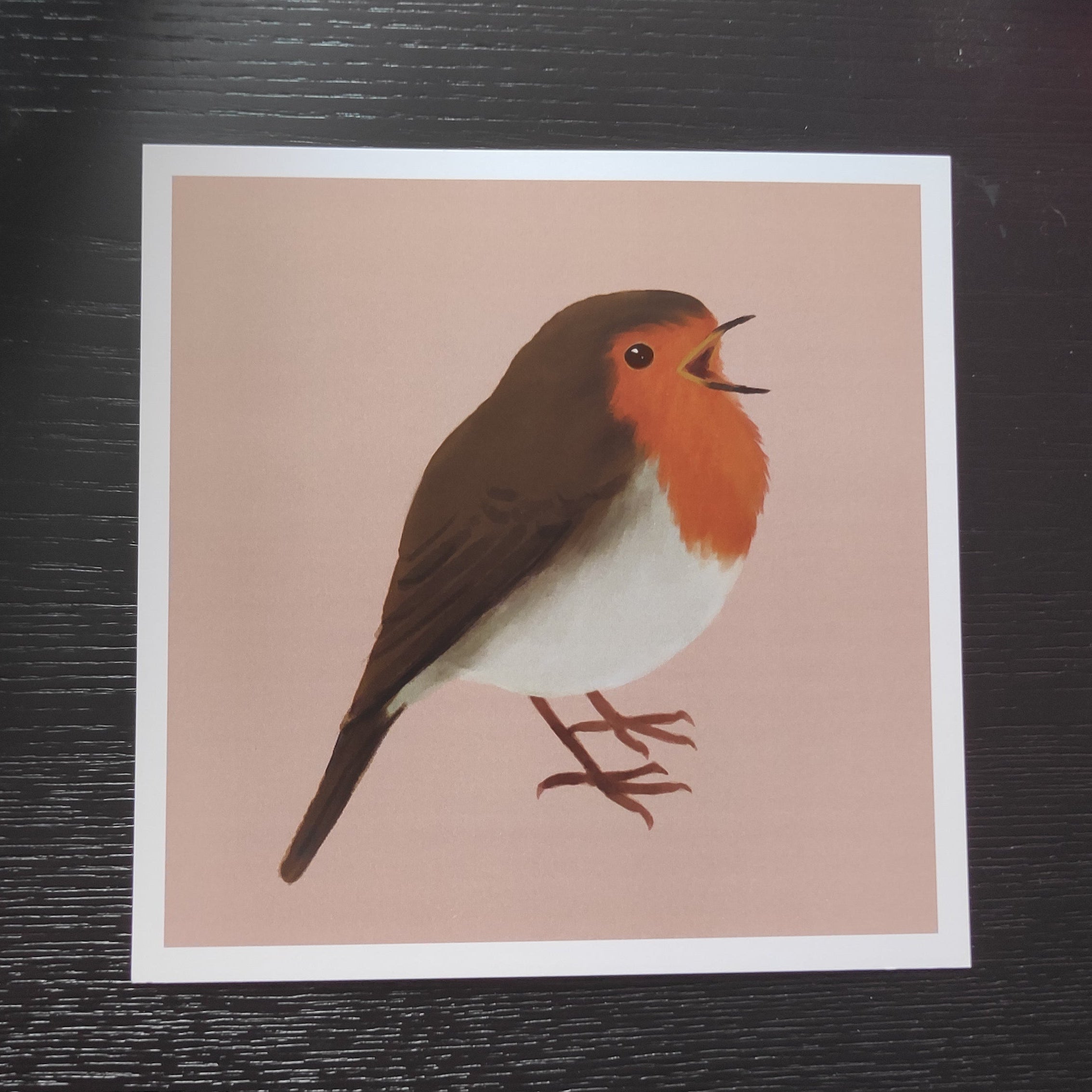 Original art: European Robin - Print