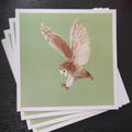 Stack of greeting cards with a barn owl illustration on a dark surface