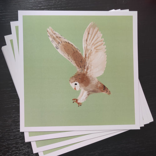 Stack of greeting cards with a barn owl illustration on a dark surface
