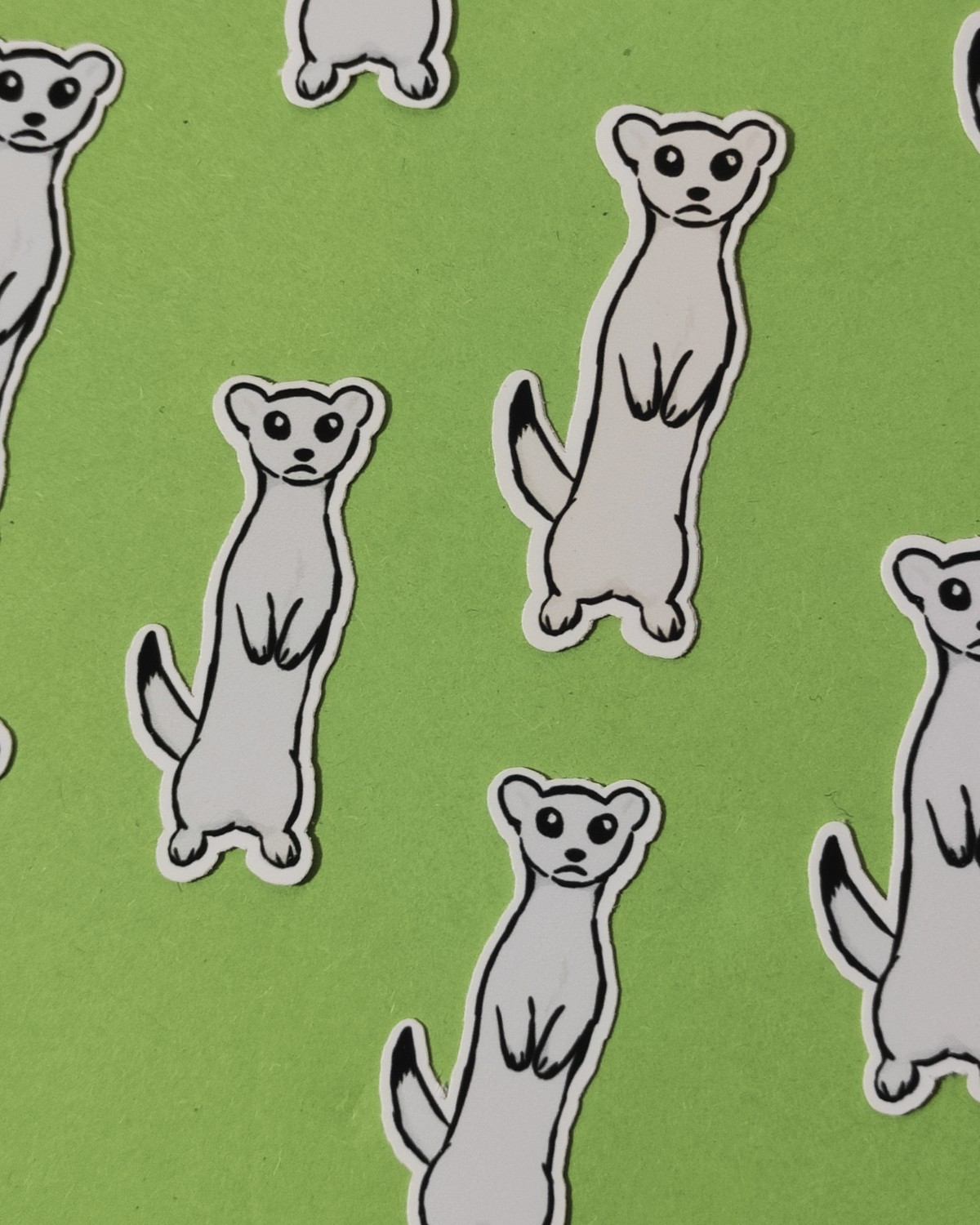 Wild Critters Sticker: Ermine