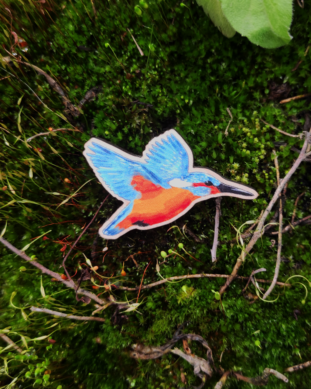 Wooden pin of the bird kingfisher on mossy background