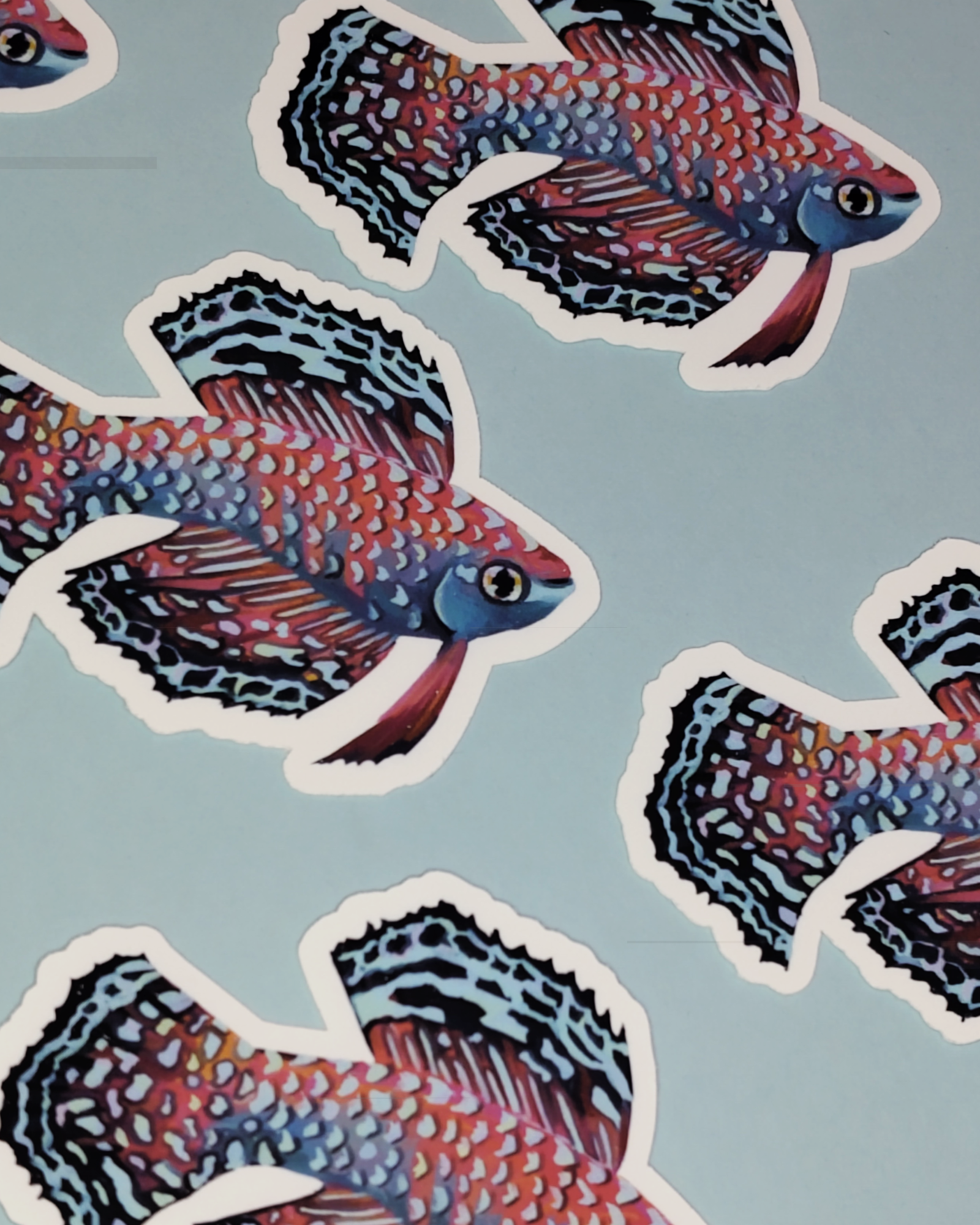 Man, I Love Fish: Bluefin Notho - Sticker
