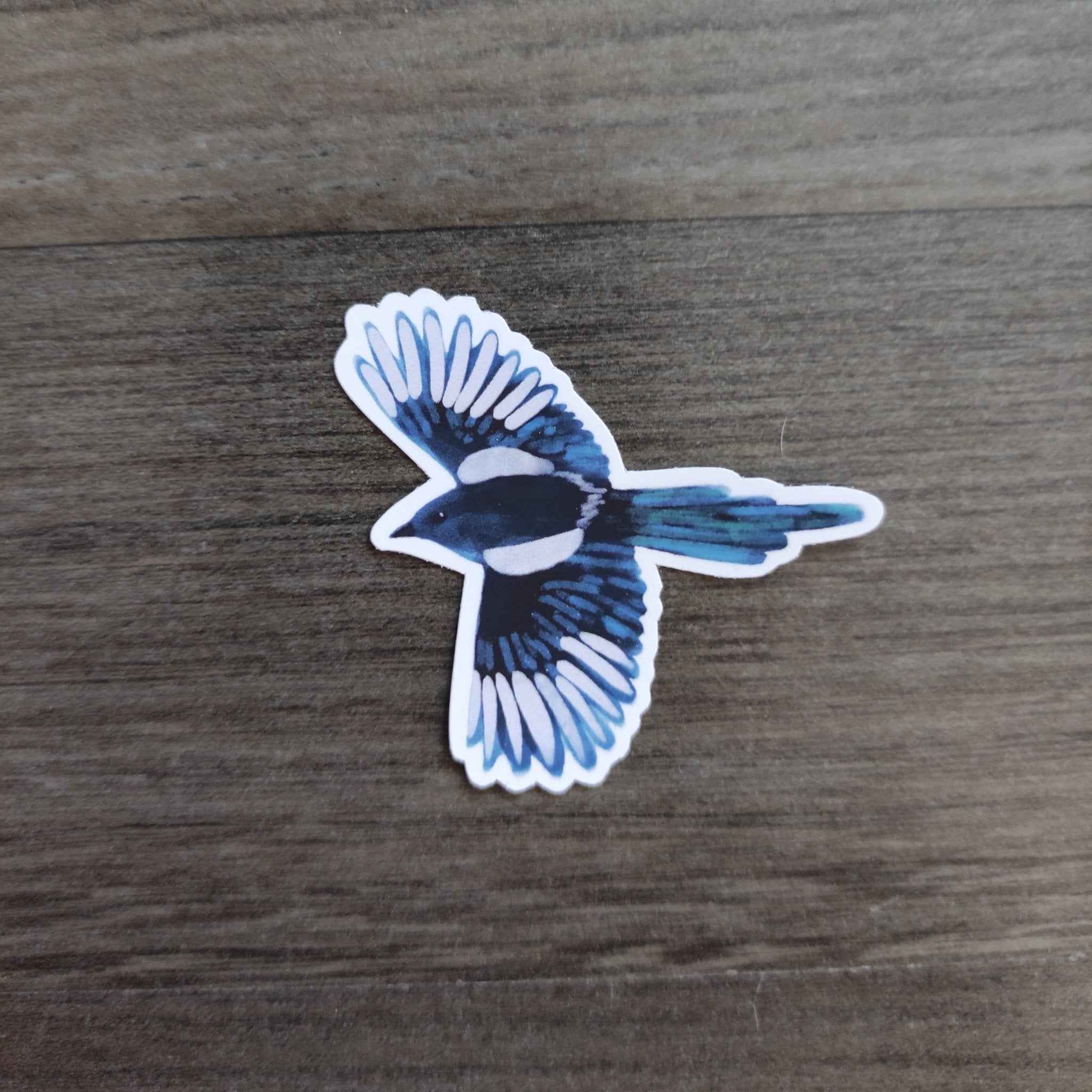 Eurasian Birds: Magpie - stickers