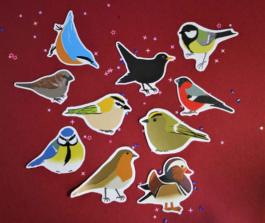 Eurasian Birds: Nuthatch - Stickers