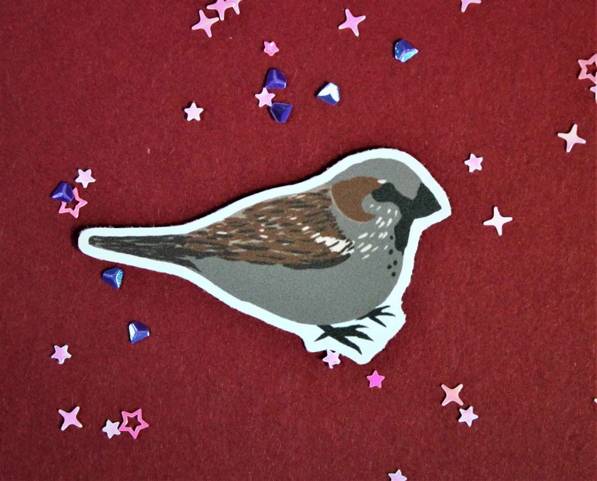 Eurasian Birds: Sparrow - Stickers