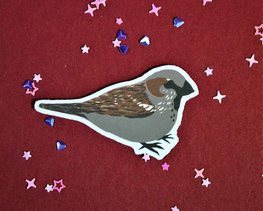 Eurasian Birds: Sparrow - Stickers