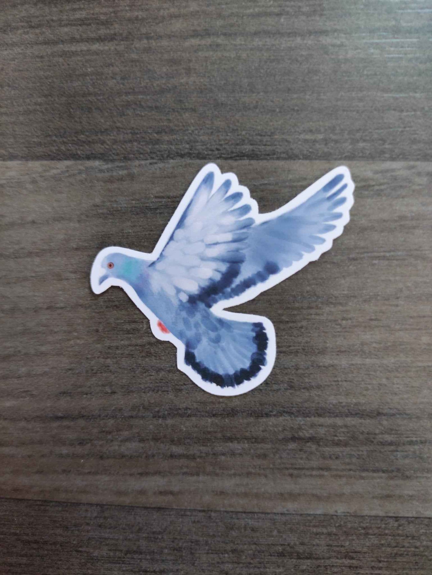 Eurasian Birds: Street pigeon - stickers